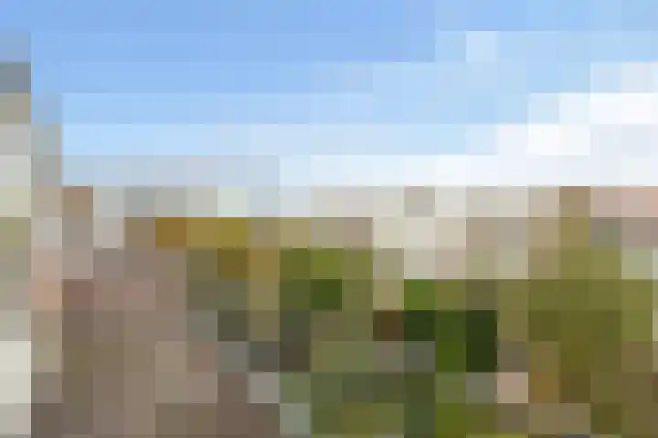 Leeuwendaallaan 19 Rijswijk thumbnail 55