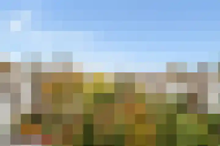 Leeuwendaallaan 19 Rijswijk thumbnail 56
