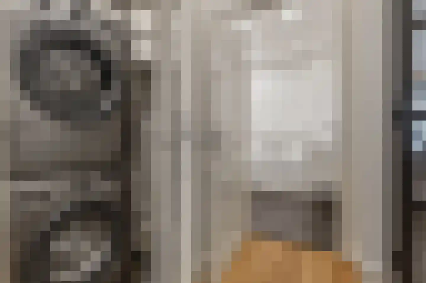 Leeuwendaallaan 42 Rijswijk thumbnail 28
