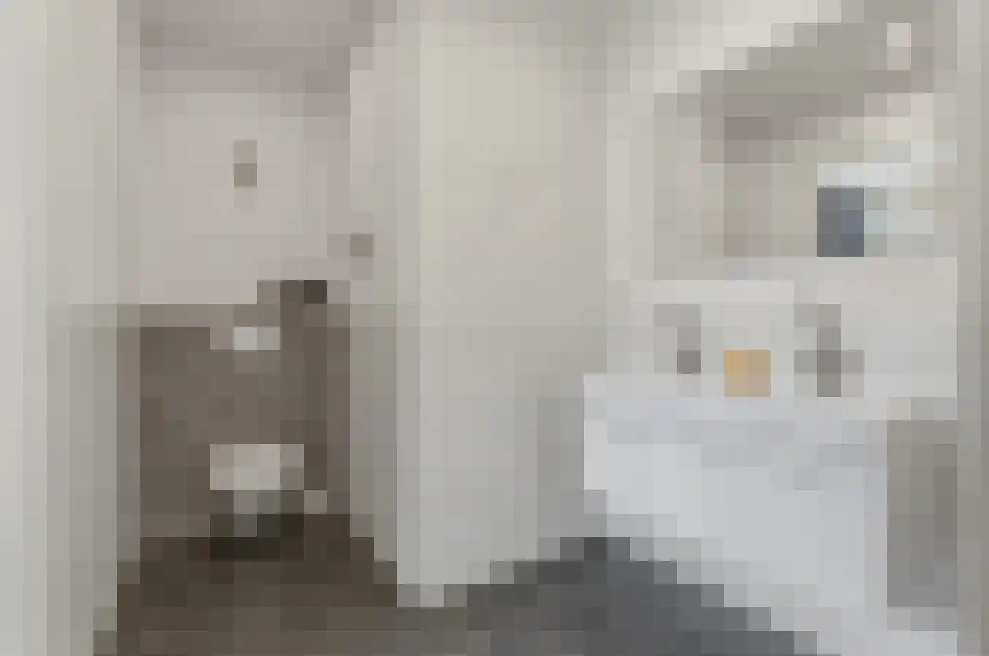 Leeuwendaallaan 42 Rijswijk thumbnail 29