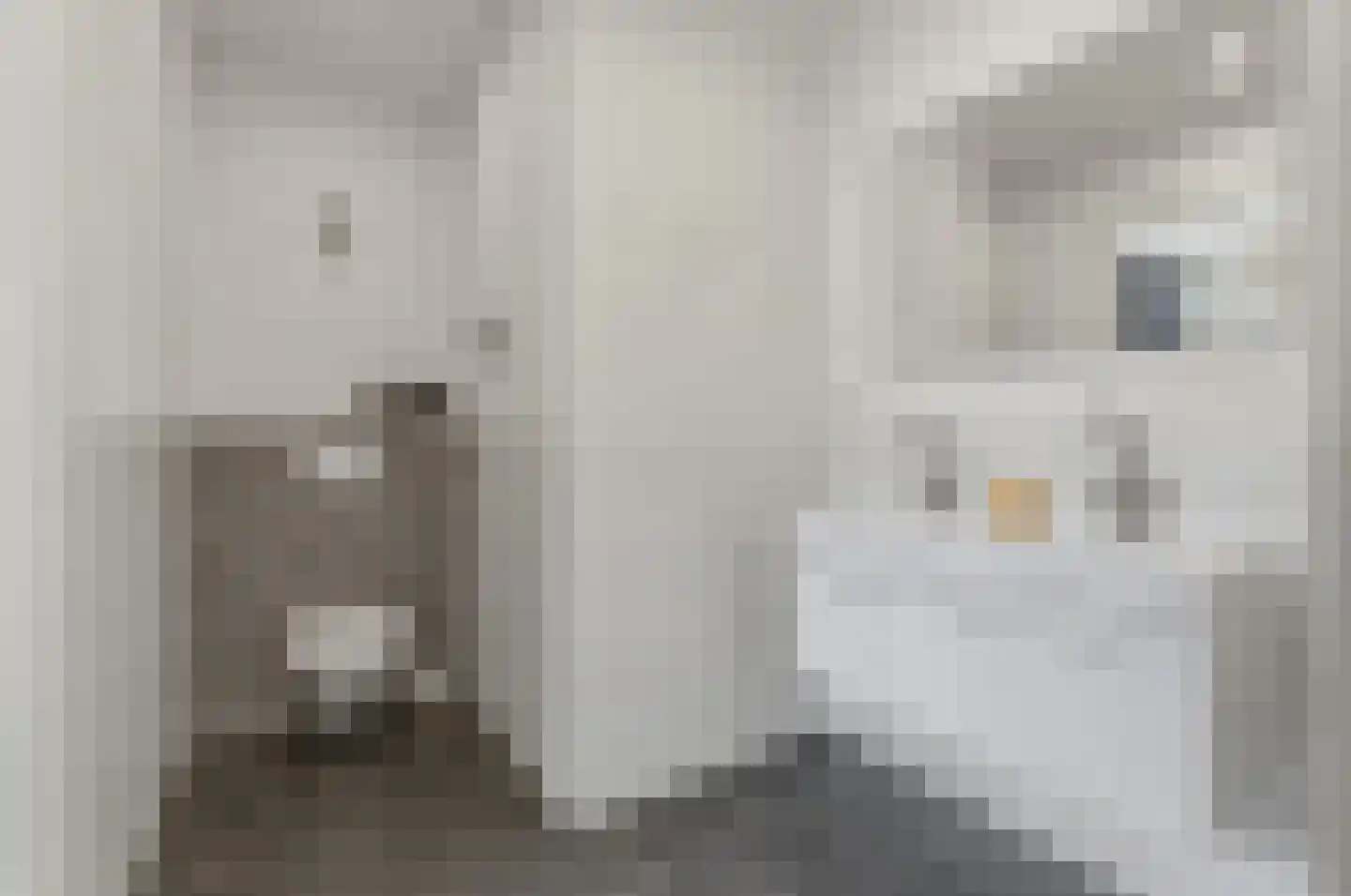 Leeuwendaallaan 42 Rijswijk thumbnail 29