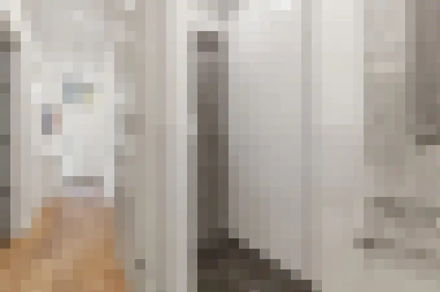 Leeuwendaallaan 42 Rijswijk thumbnail 30