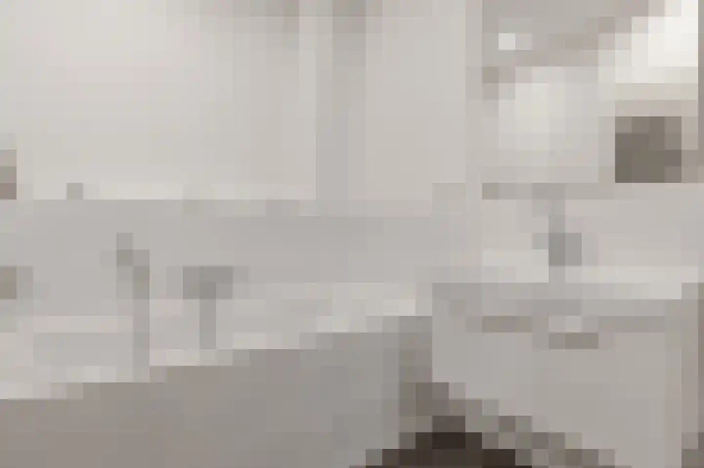 Leeuwendaallaan 42 Rijswijk thumbnail 32