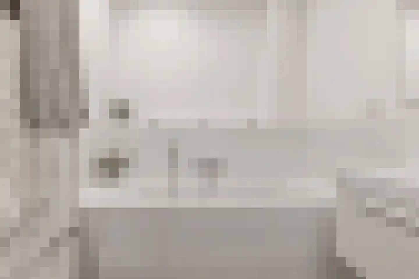Leeuwendaallaan 42 Rijswijk thumbnail 33