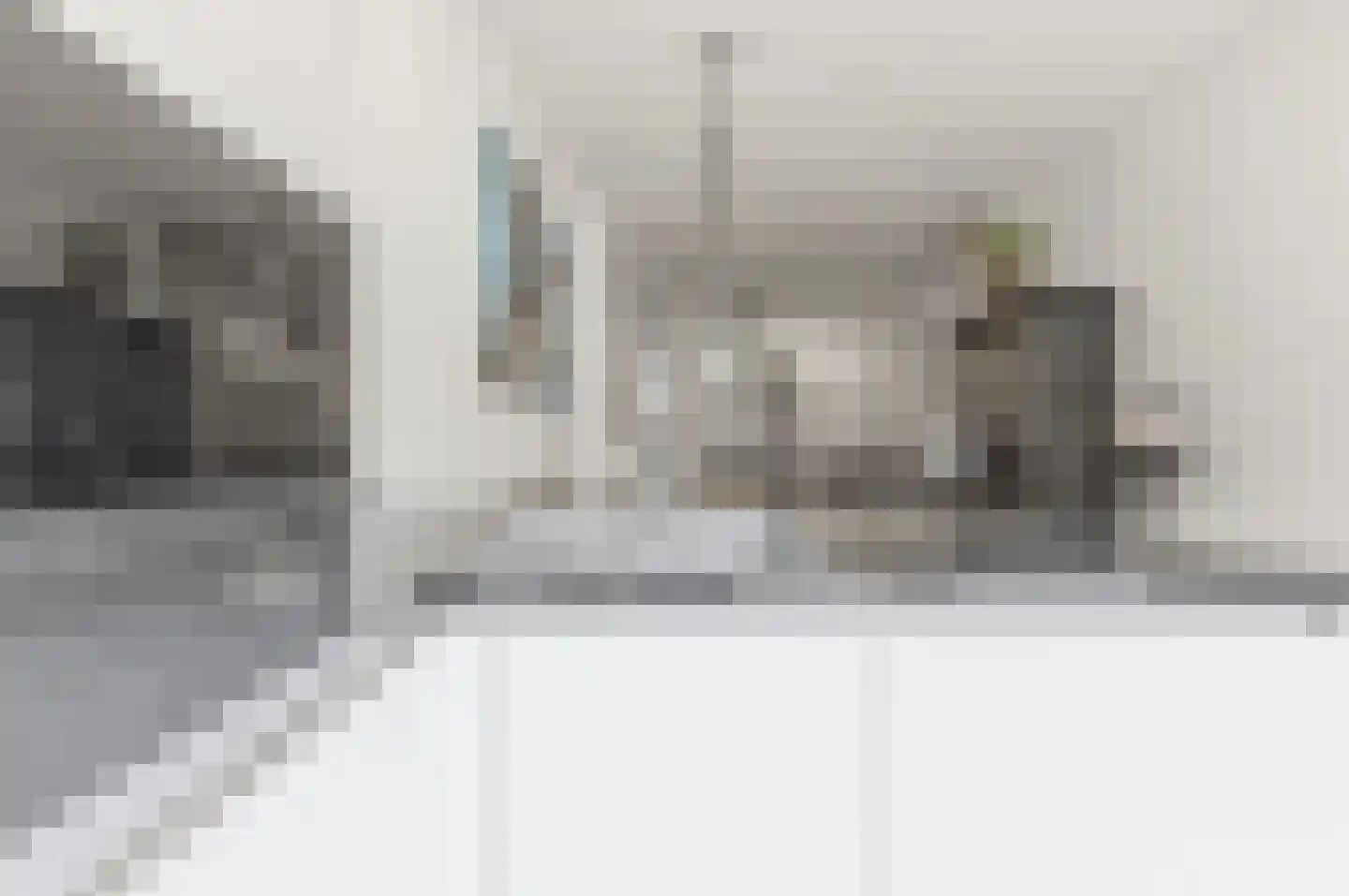 Leeuwendaallaan 42 Rijswijk thumbnail 39