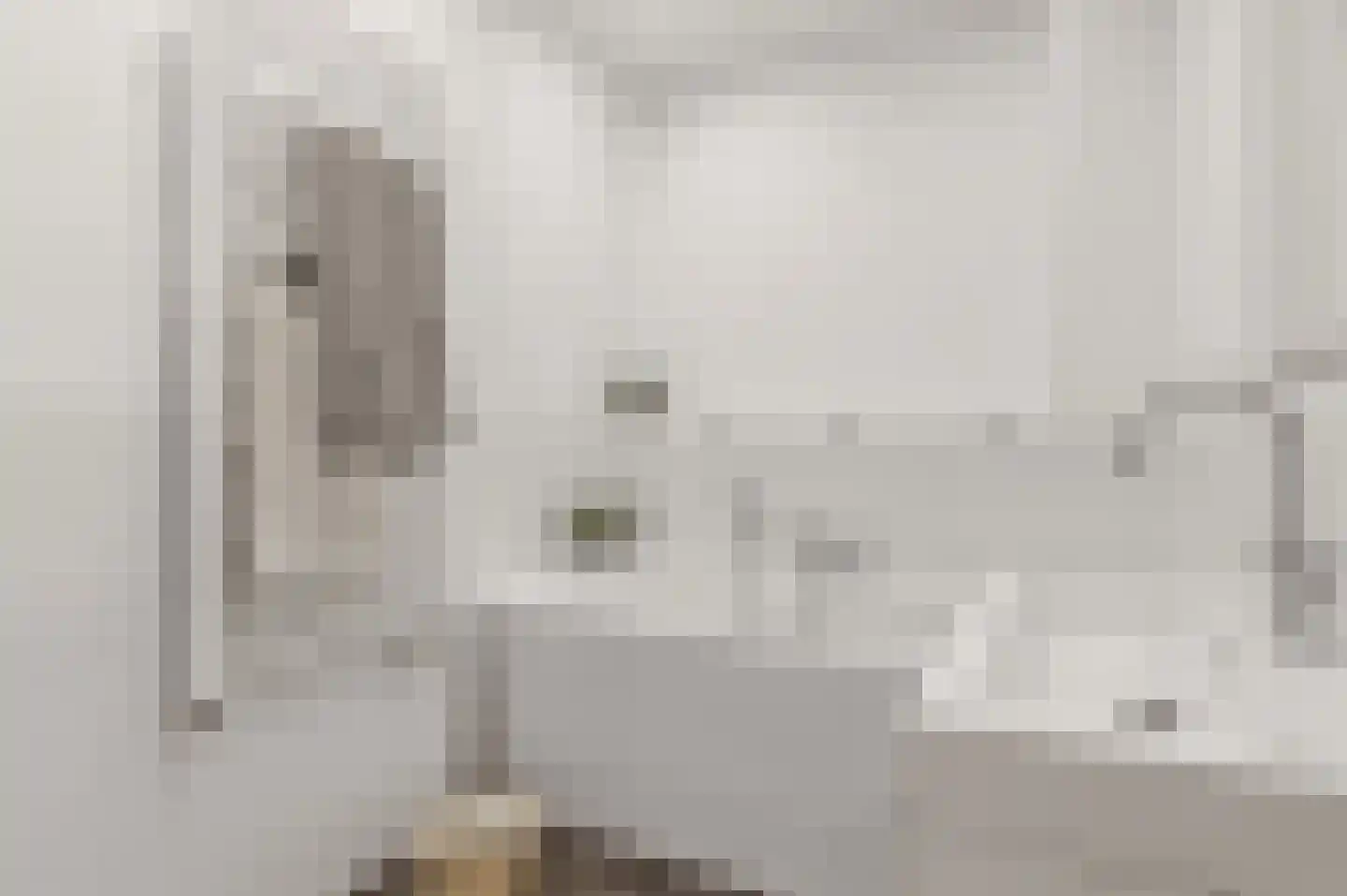 Leeuwendaallaan 42 Rijswijk thumbnail 4