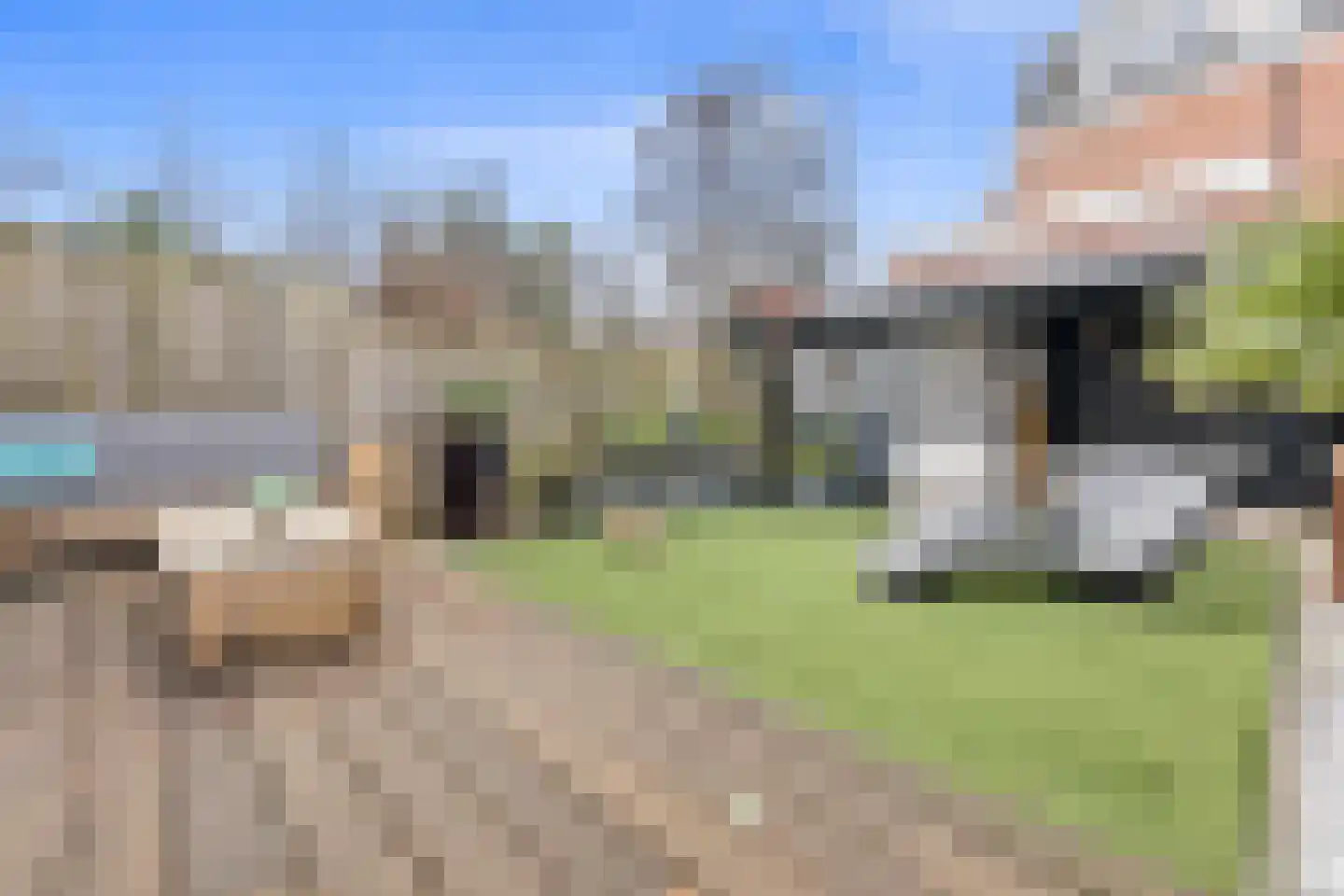 Leeuwendaallaan 42 Rijswijk thumbnail 43