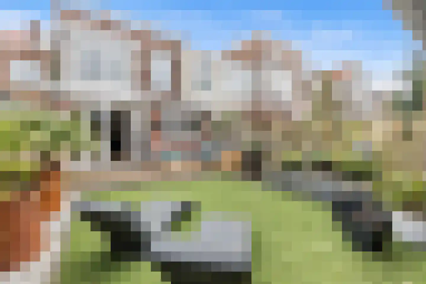 Leeuwendaallaan 42 Rijswijk thumbnail 45