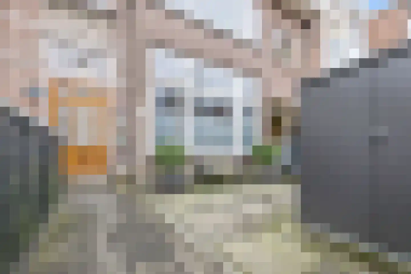 Leeuwendaallaan 42 Rijswijk thumbnail 5