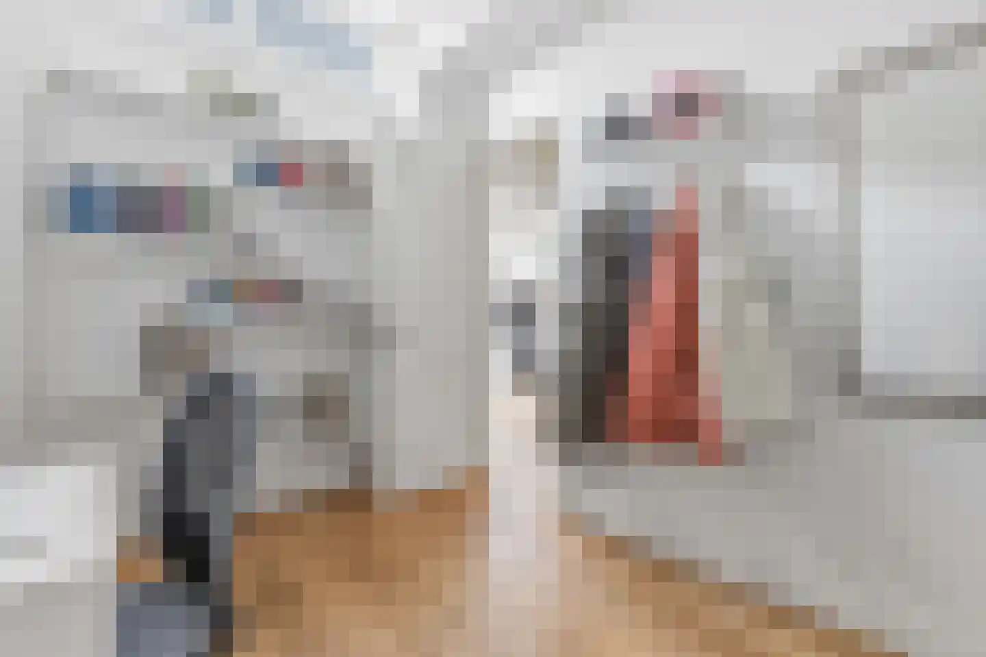 Leeuwendaallaan 42 Rijswijk thumbnail 50