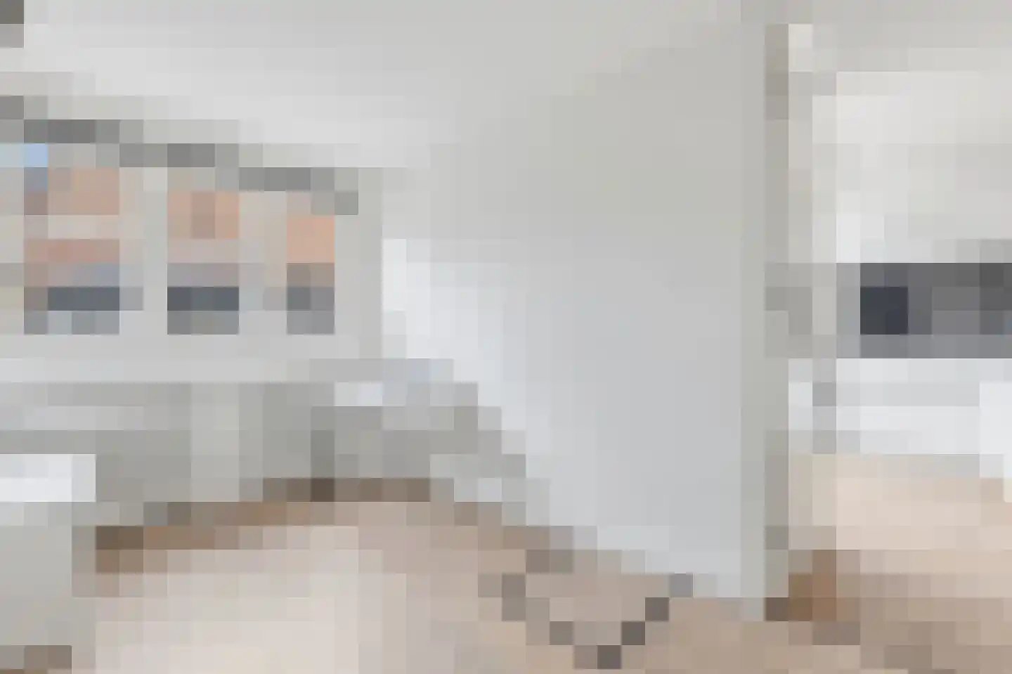 Leeuwendaallaan 42 Rijswijk thumbnail 52