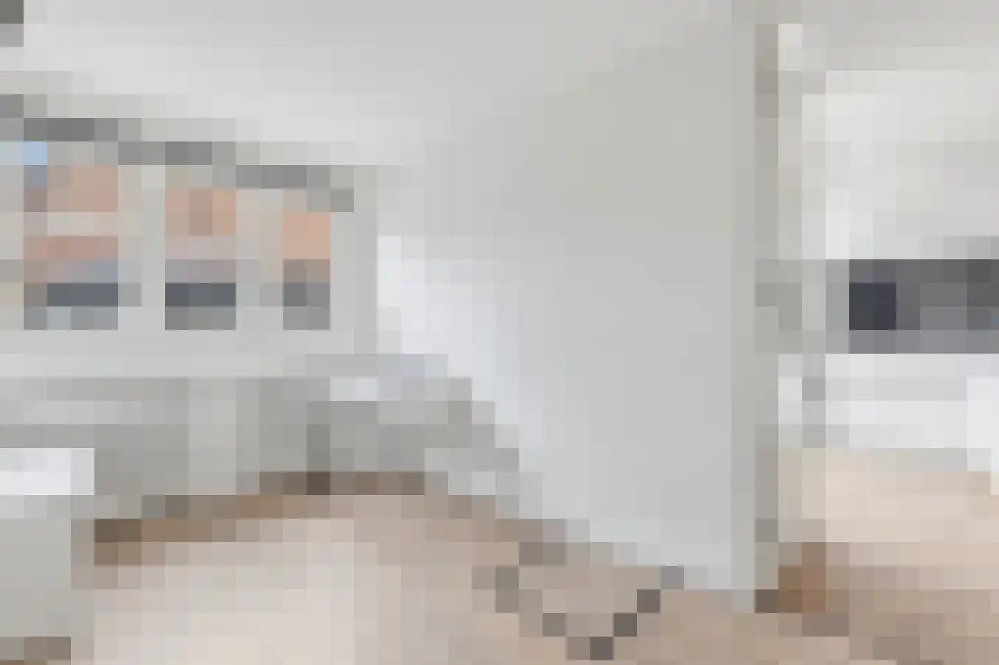 Leeuwendaallaan 42 Rijswijk thumbnail 52