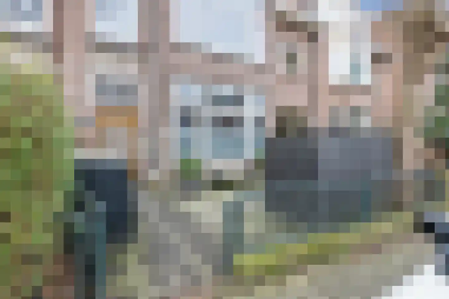 Leeuwendaallaan 42 Rijswijk thumbnail 55