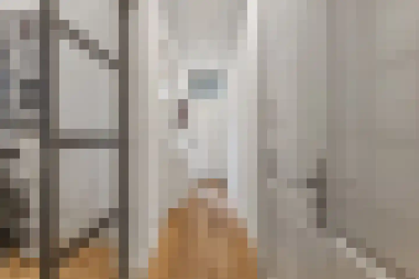 Leeuwendaallaan 42 Rijswijk thumbnail 8
