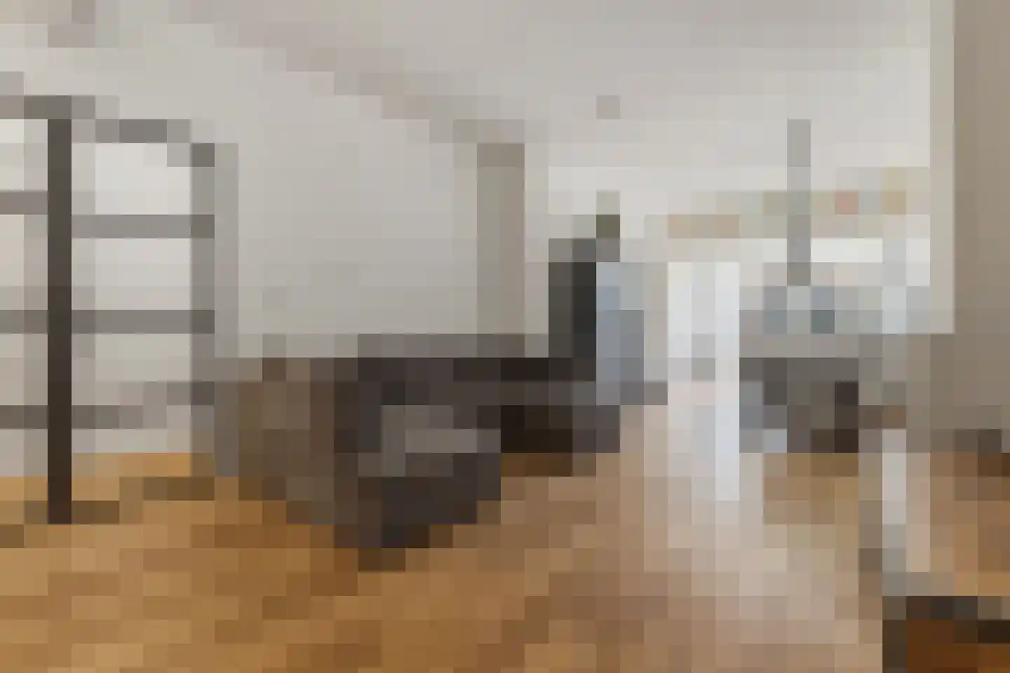 Leeuwendaallaan 42 Rijswijk thumbnail 9
