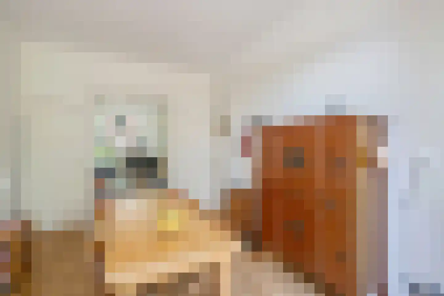 Leeuwendaallaan 57 Rijswijk thumbnail 14