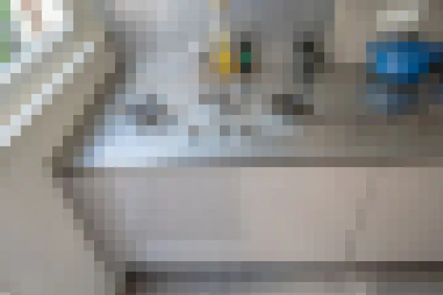 Leeuwendaallaan 57 Rijswijk thumbnail 16