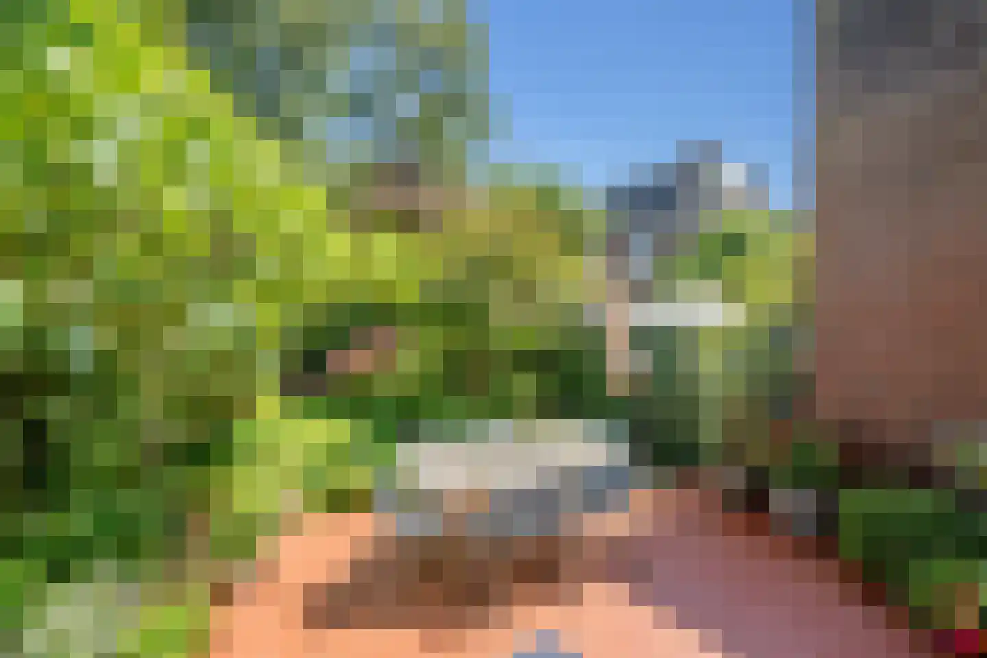 Leeuwendaallaan 57 Rijswijk thumbnail 18