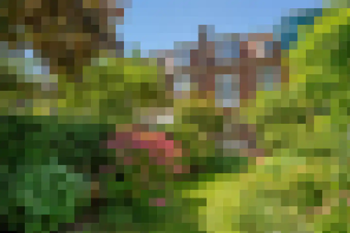 Leeuwendaallaan 57 Rijswijk thumbnail 19