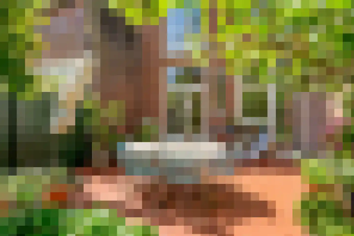 Leeuwendaallaan 57 Rijswijk thumbnail 20