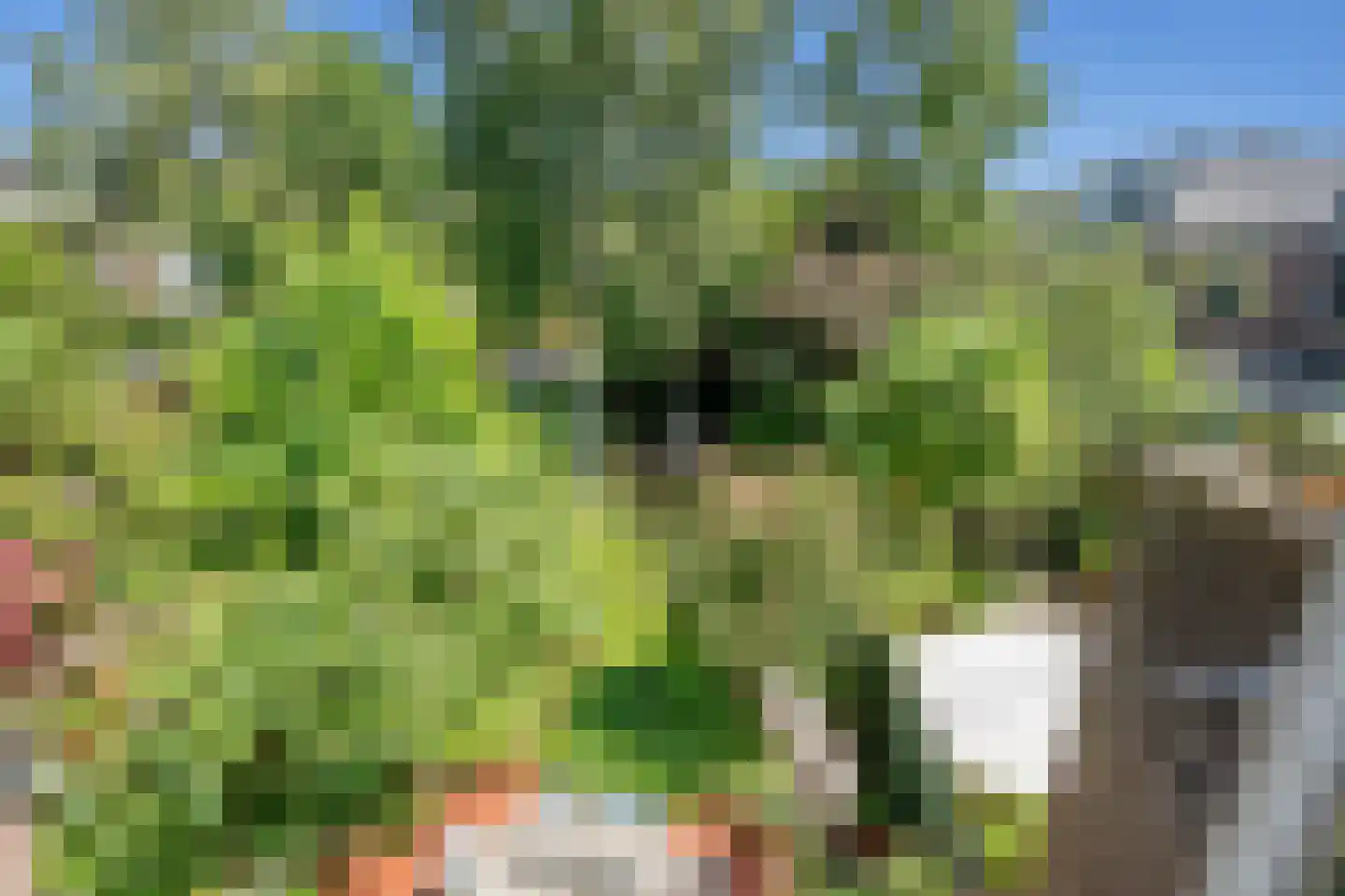Leeuwendaallaan 57 Rijswijk thumbnail 26