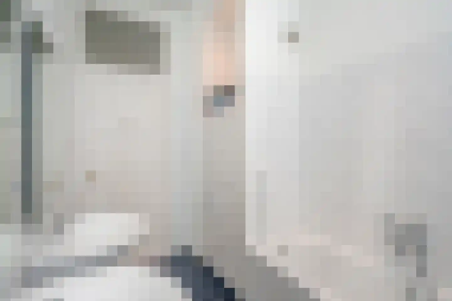 Leeuwendaallaan 57 Rijswijk thumbnail 29