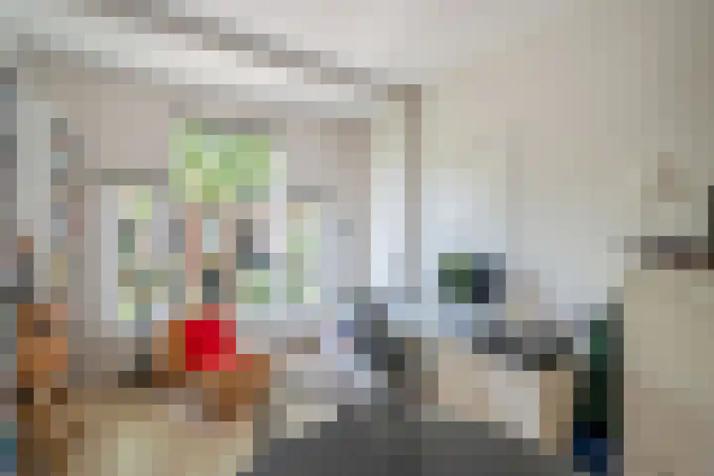 Leeuwendaallaan 57 Rijswijk thumbnail 31
