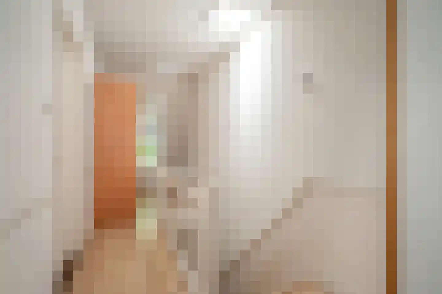 Leeuwendaallaan 57 Rijswijk thumbnail 34