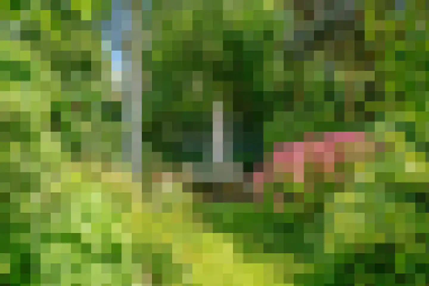 Leeuwendaallaan 57 Rijswijk thumbnail 4