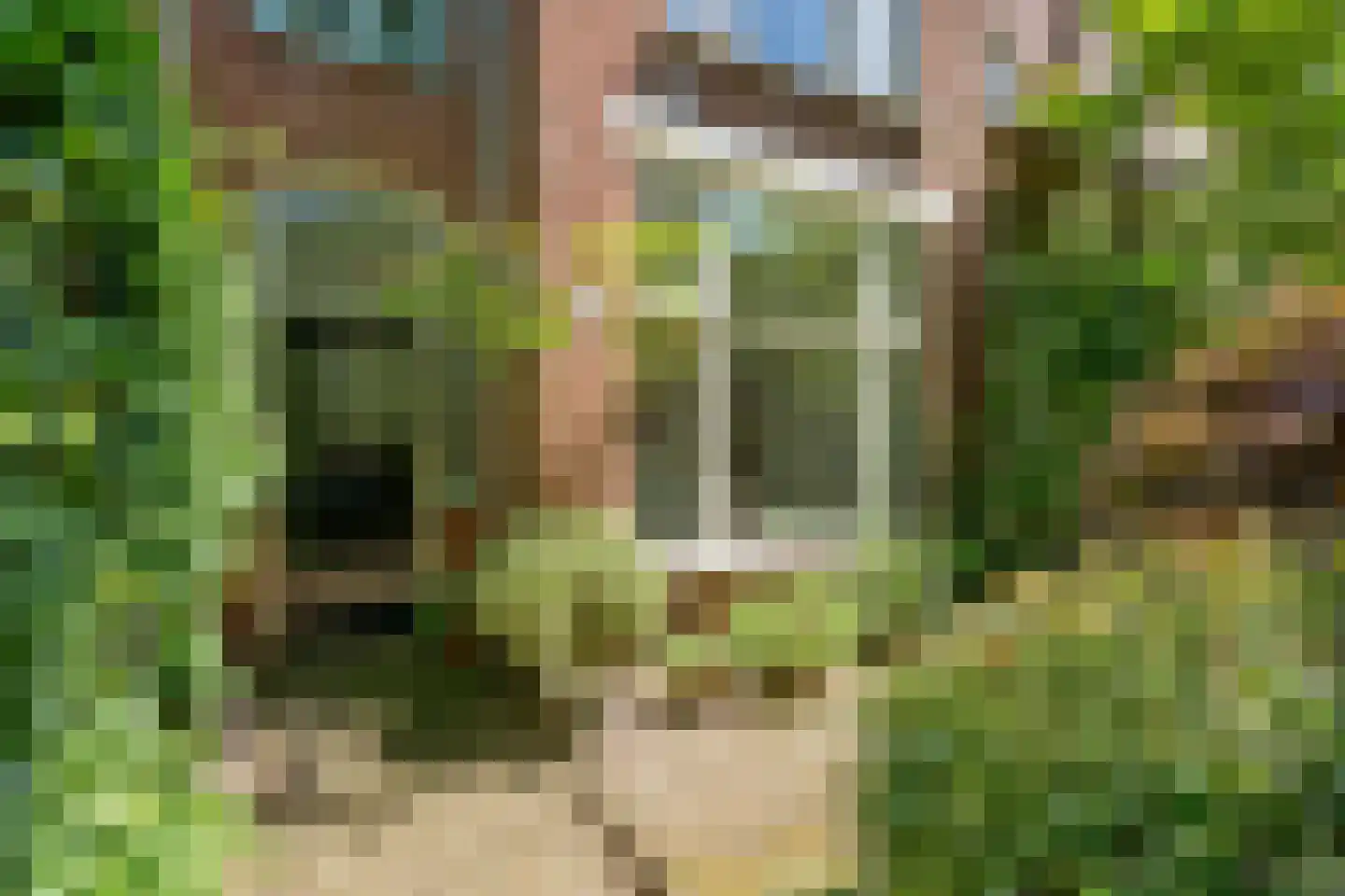 Leeuwendaallaan 57 Rijswijk thumbnail 5