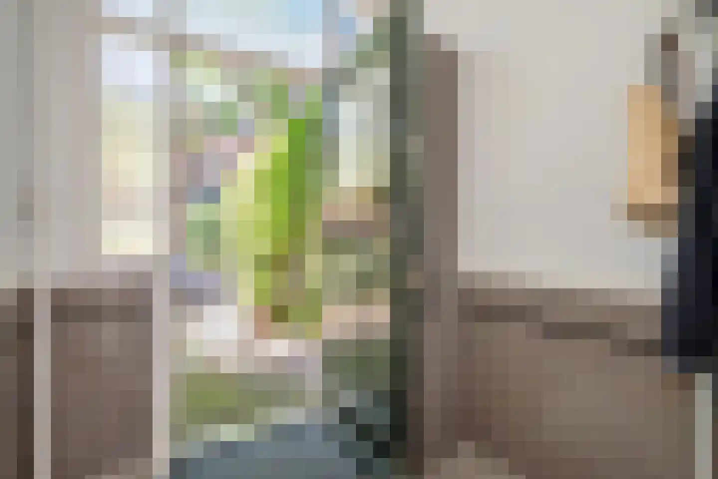 Leeuwendaallaan 57 Rijswijk thumbnail 6