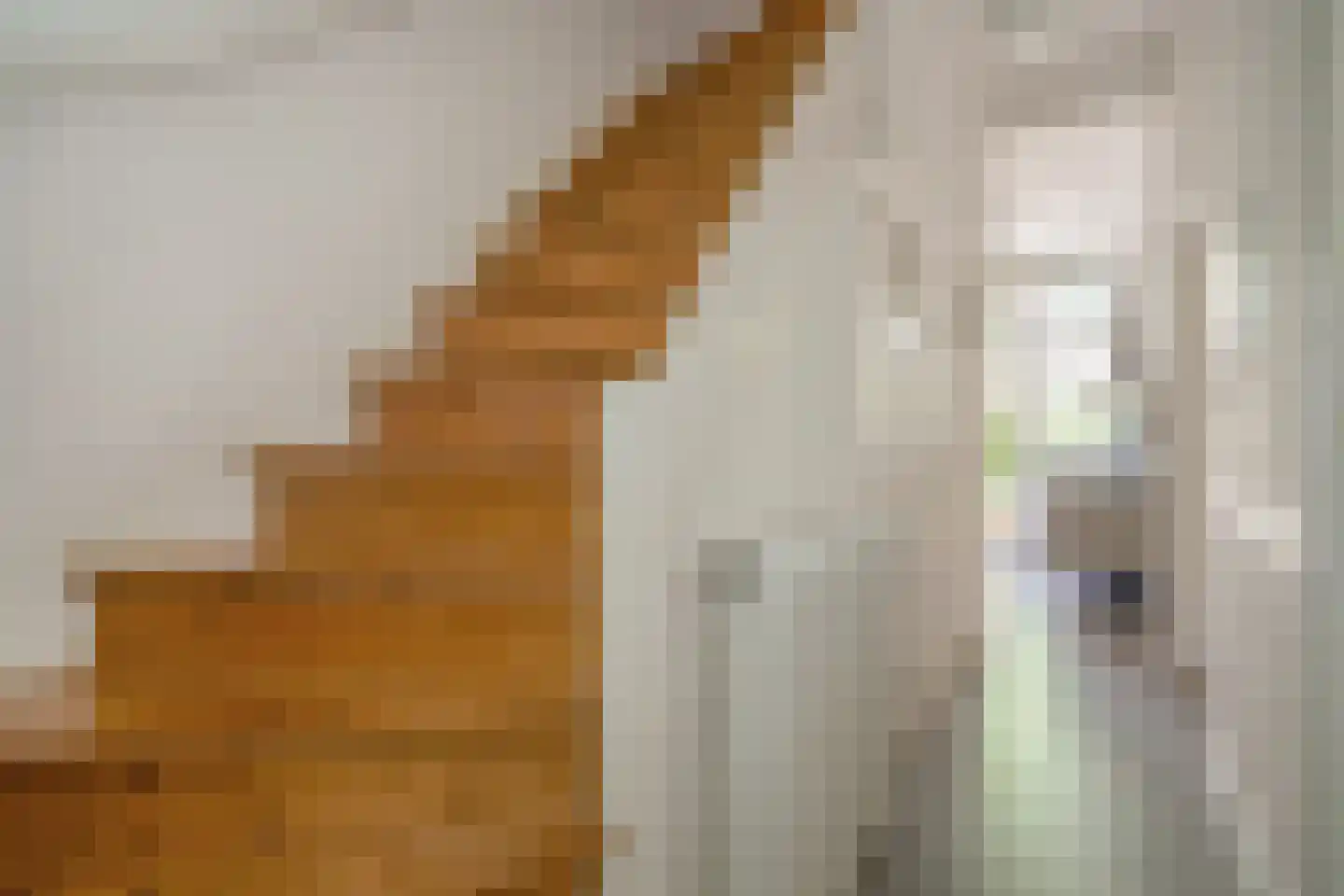 Leeuwendaallaan 57 Rijswijk thumbnail 7