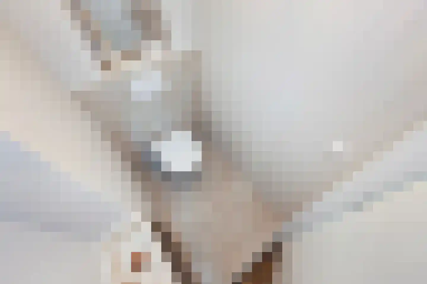 Leeuwendaallaan 69 Rijswijk thumbnail 10