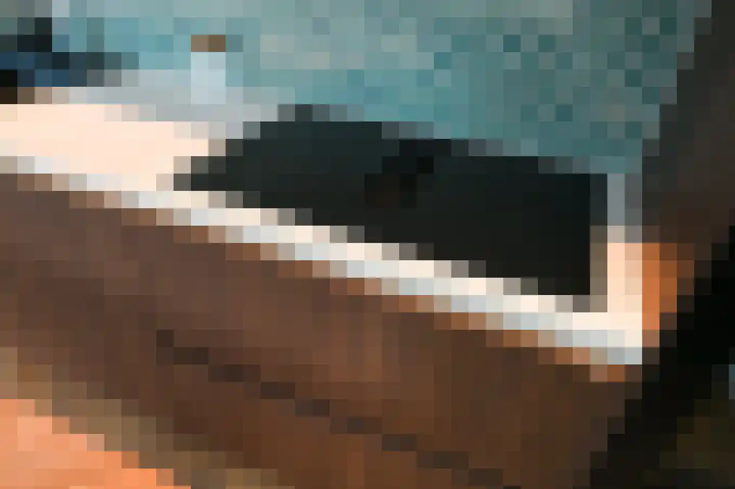 Leeuwendaallaan 69 Rijswijk thumbnail 17
