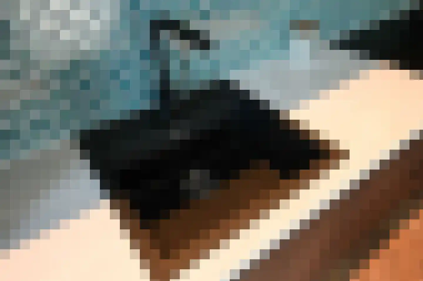 Leeuwendaallaan 69 Rijswijk thumbnail 18