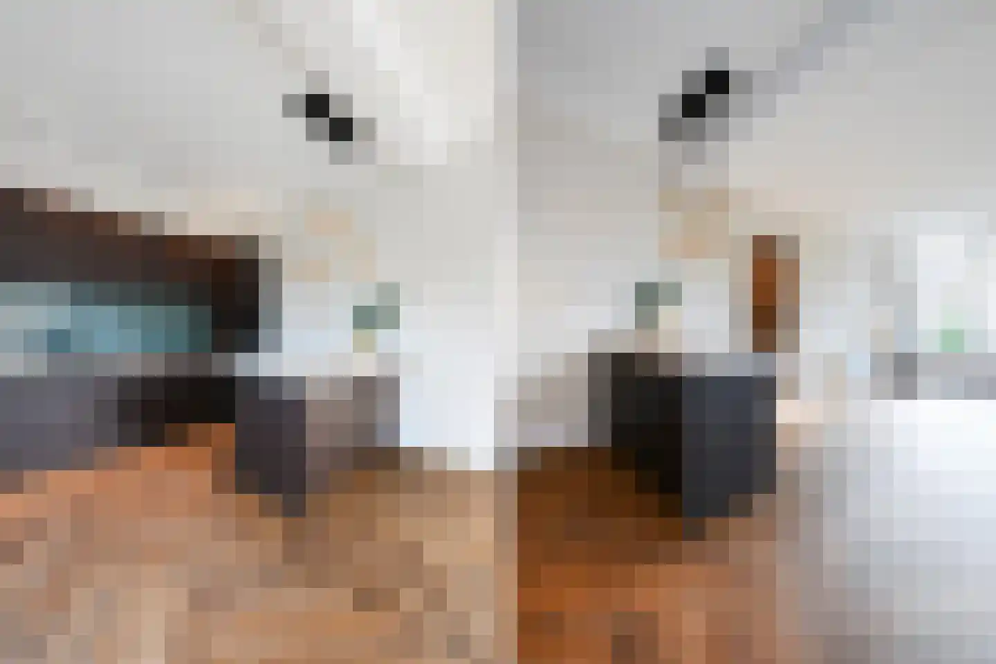 Leeuwendaallaan 69 Rijswijk thumbnail 19
