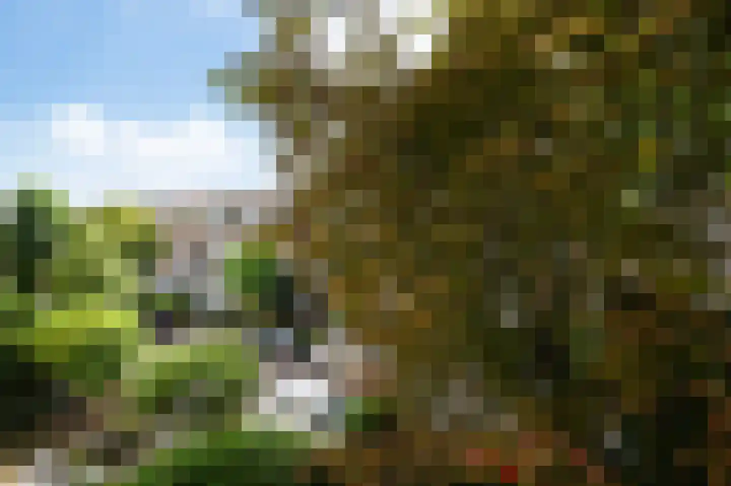 Leeuwendaallaan 69 Rijswijk thumbnail 22