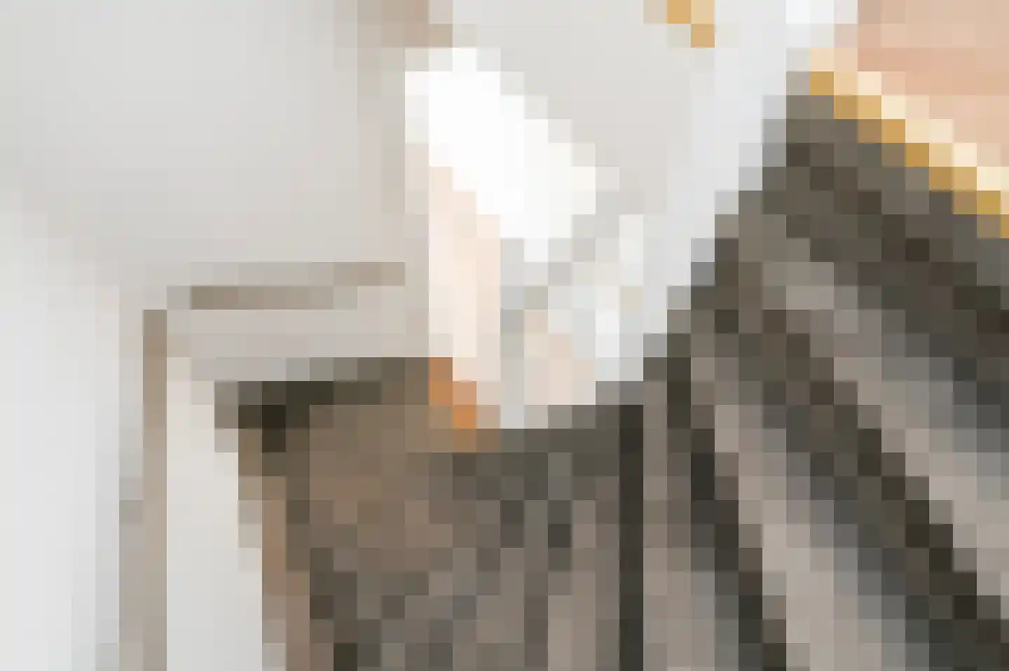 Leeuwendaallaan 69 Rijswijk thumbnail 23