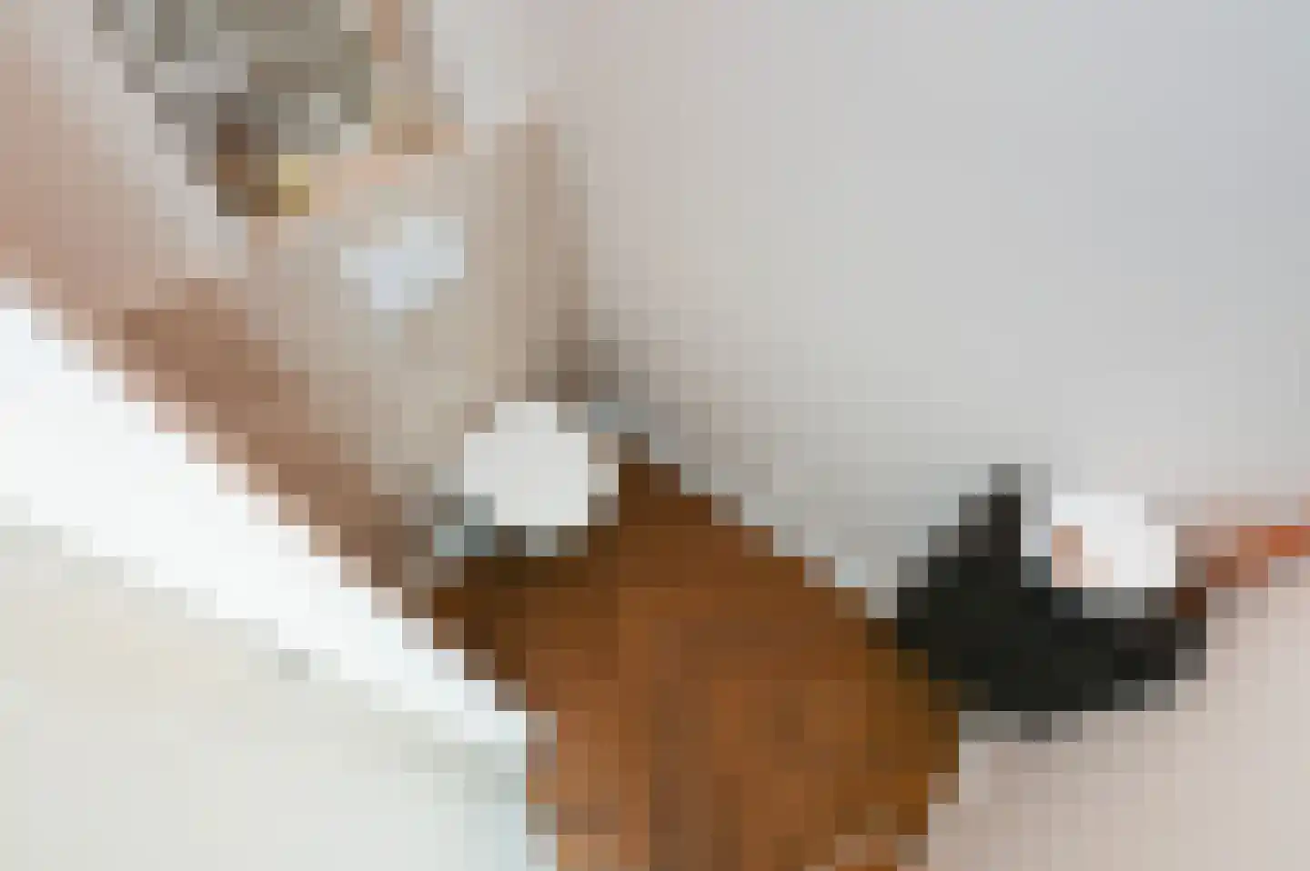 Leeuwendaallaan 69 Rijswijk thumbnail 26