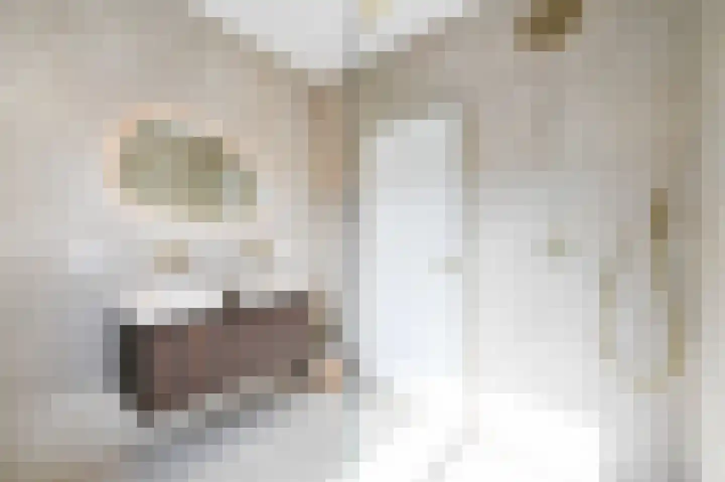 Leeuwendaallaan 69 Rijswijk thumbnail 34
