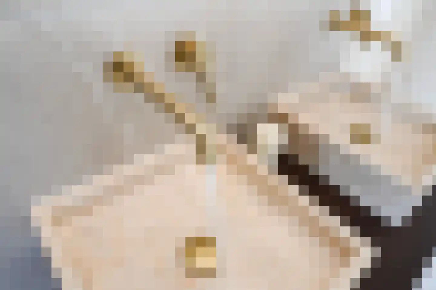Leeuwendaallaan 69 Rijswijk thumbnail 35