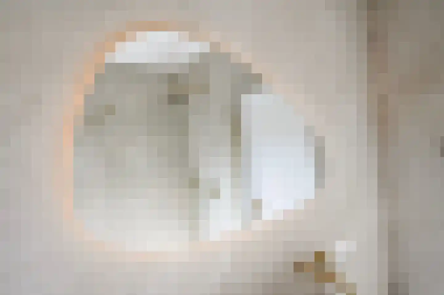 Leeuwendaallaan 69 Rijswijk thumbnail 36