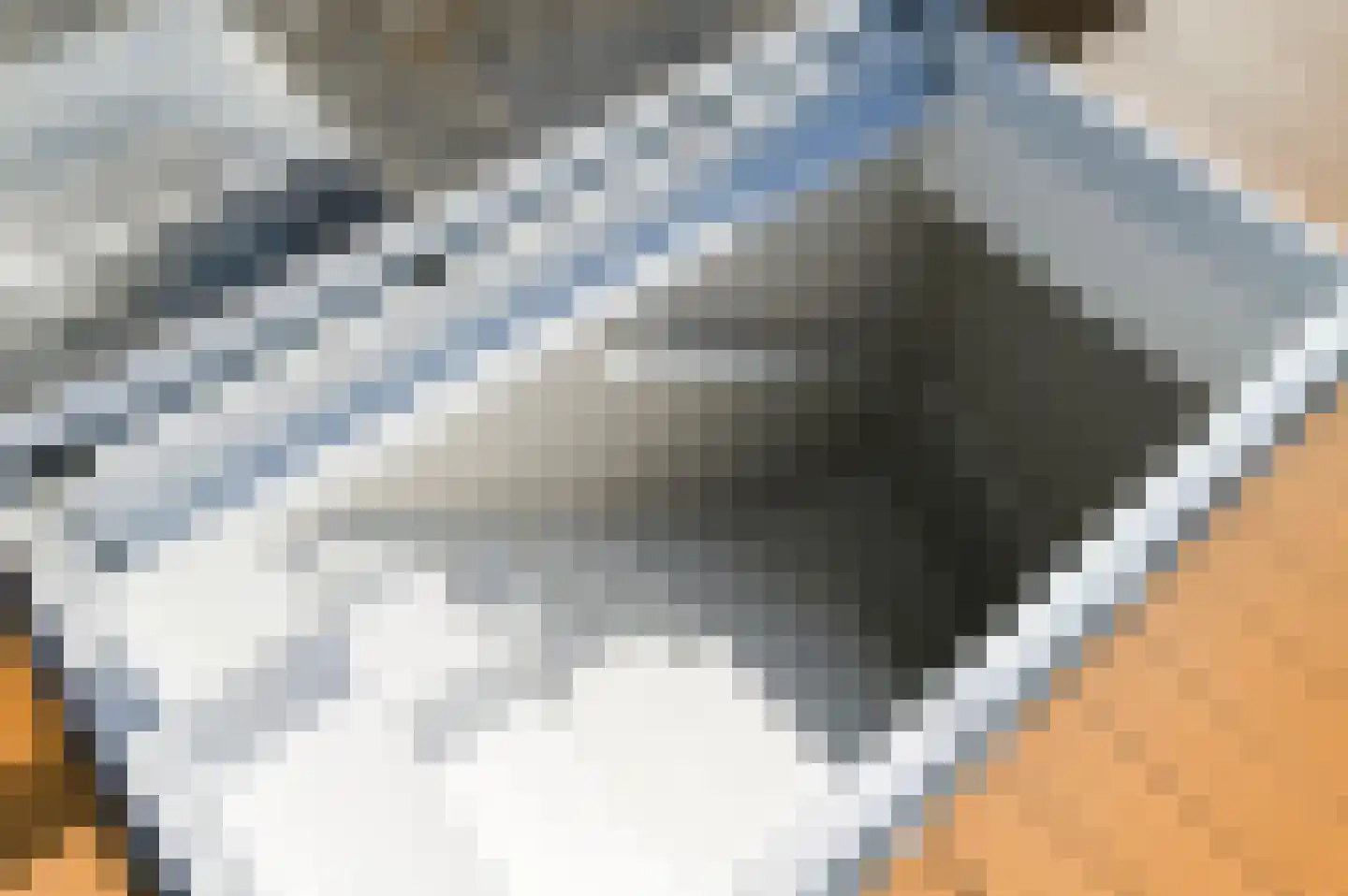 Leeuwendaallaan 69 Rijswijk thumbnail 38