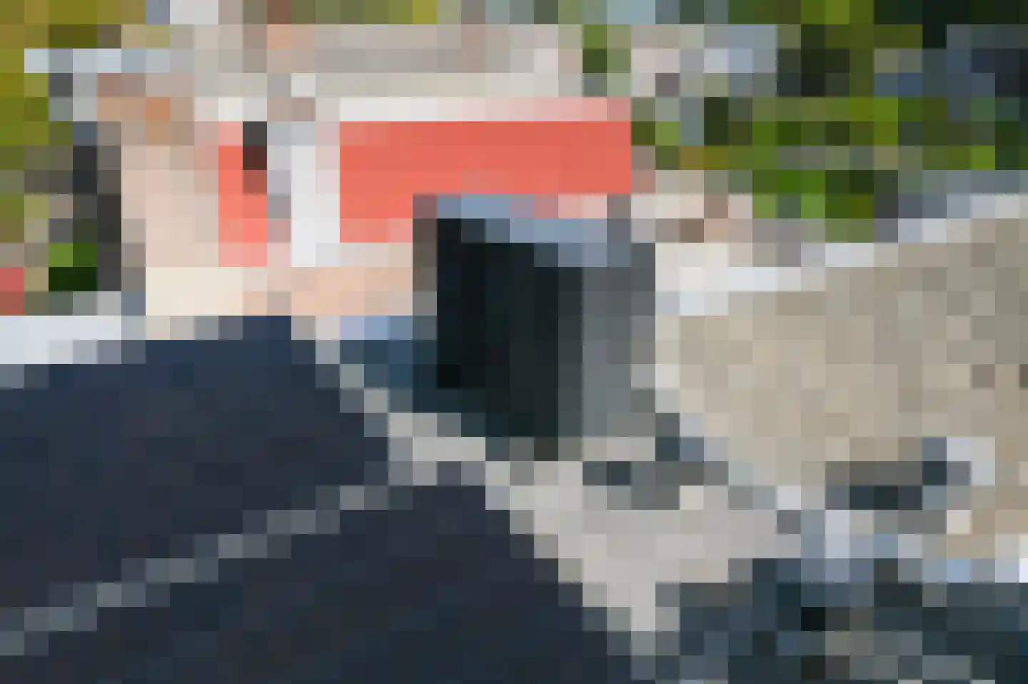 Leeuwendaallaan 69 Rijswijk thumbnail 43
