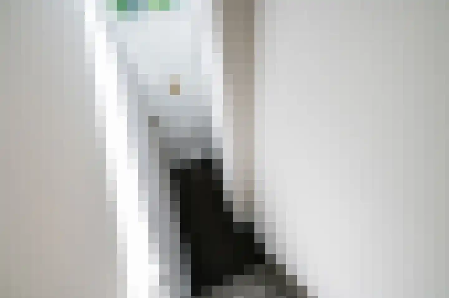 Leeuwendaallaan 69 Rijswijk thumbnail 6