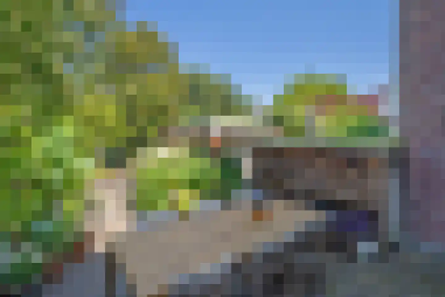 Leeuwendaallaan 7 Rijswijk thumbnail 19
