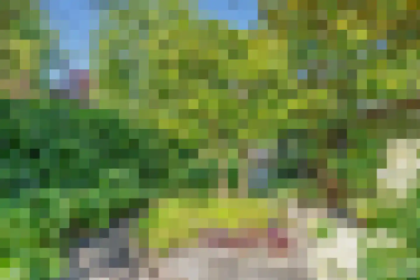 Leeuwendaallaan 7 Rijswijk thumbnail 20