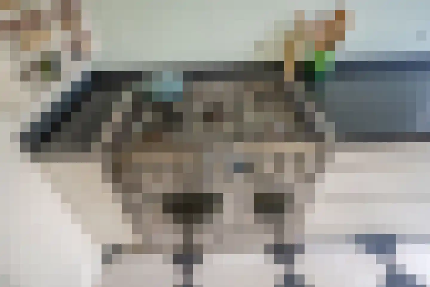 Leeuwendaallaan 7 Rijswijk thumbnail 24