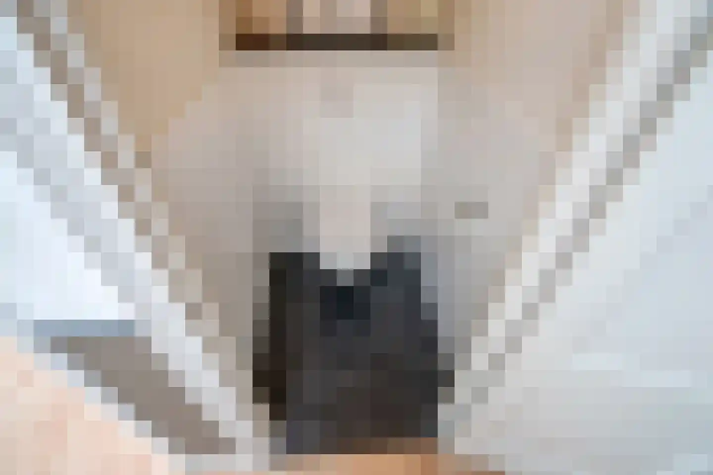 Leeuwendaallaan 7 Rijswijk thumbnail 25