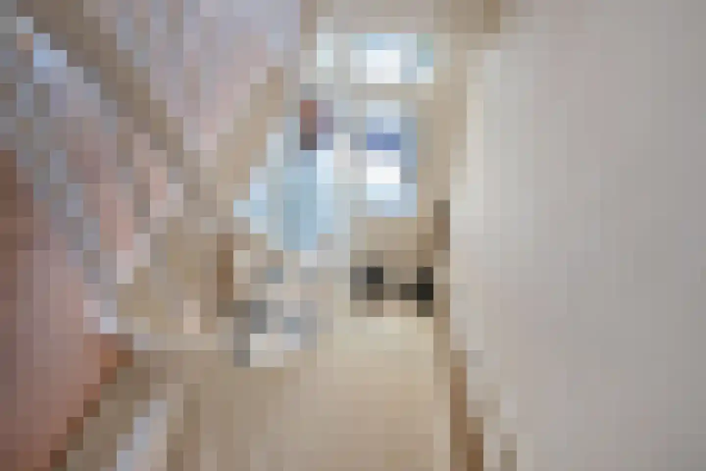 Leeuwendaallaan 7 Rijswijk thumbnail 26